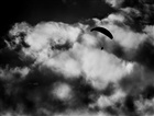 dailyPhoto38